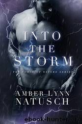 Into the Storm by Amber Lynn Natusch