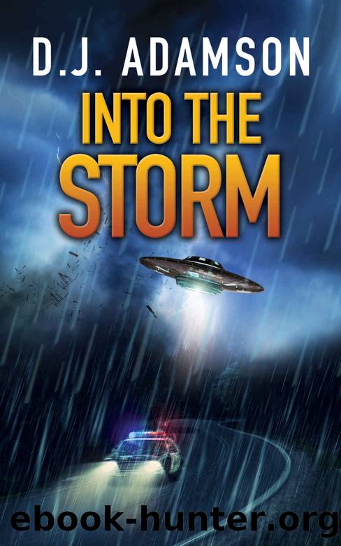 Into the Storm by D. J. Adamson