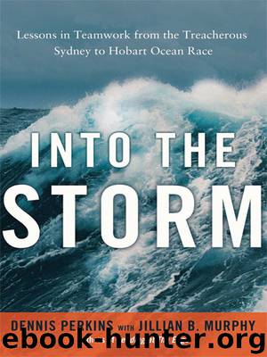 Into the Storm by Dennis N.t. Perkins
