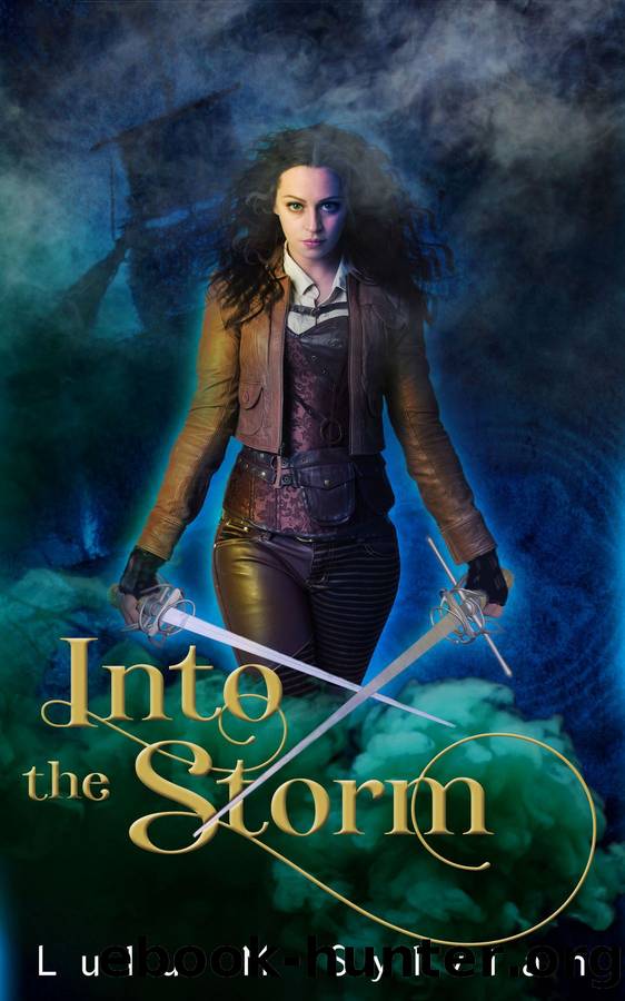 Into the Storm by Lulu M Sylvian