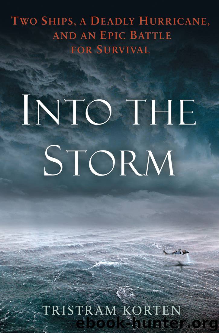 Into the Storm by Tristram Korten