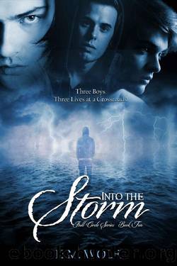 Into the Storm: Full Circle series (Book 2) by H.M. Wolfe