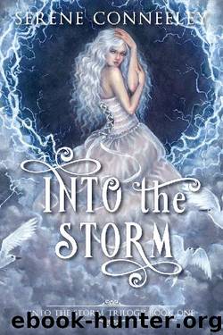 Into the Storm: Into the Storm Trilogy Book One by Serene Conneeley