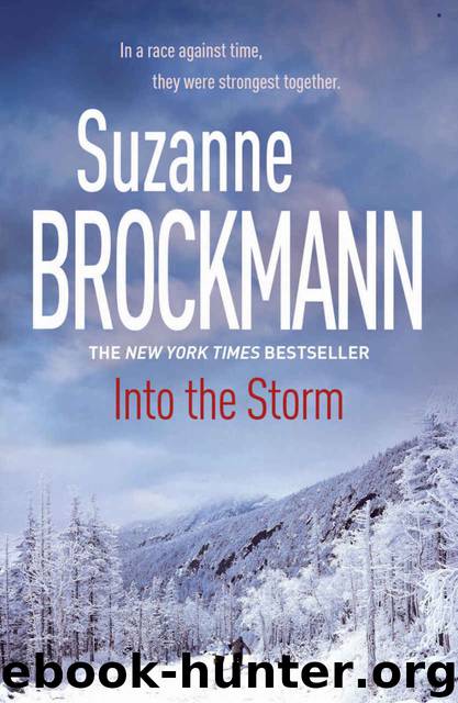 Into the Storm: Troubleshooters 10: Troubleshooters 10  by Suzanne Brockmann