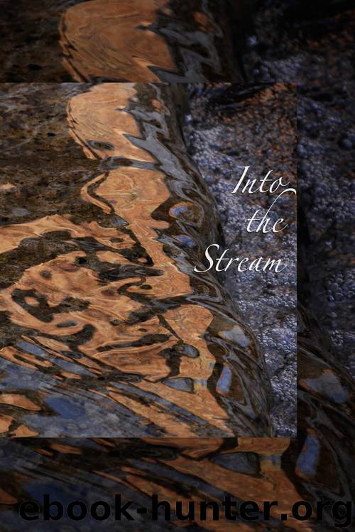 Into the Stream: A Study Guide on the First Stage of Awakening by Ṭhānissaro Bhikkhu