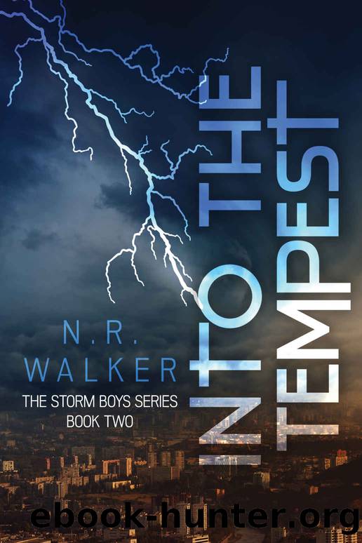 Into the Tempest (The Storm Boys Series Book 2) by N.R. Walker