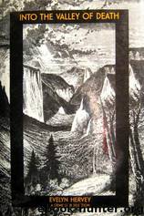 Into the Valley of Death by Evelyn Hervey