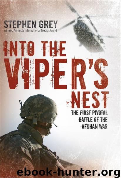 Into the Viper's Nest by Stephen Grey