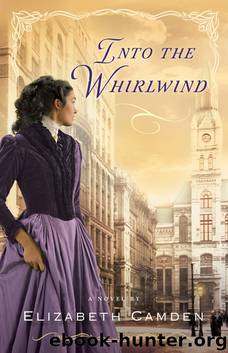Into the Whirlwind by Elizabeth Camden