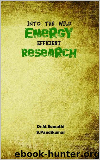 Into the Wild: Energy Efficient Research by Sumathi M & Pandikumar S