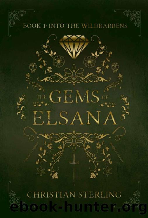 Into the Wildbarrens (The Gems of Elsana Book 1) by Christian Sterling