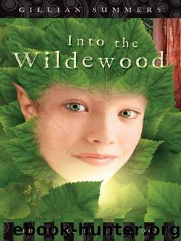 Into the Wildewood: The Faire Folk Trilogy by Summers Gillian