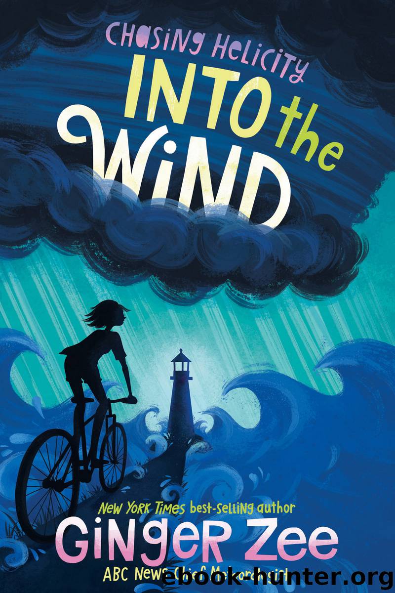 Into the Wind by Ginger Zee
