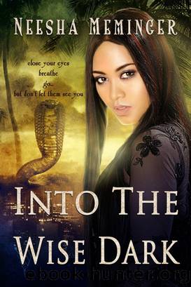 Into the Wise Dark by Neesha Meminger