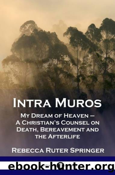 Intra Muros: My Dream of Heaven by Rebecca Ruter Springer