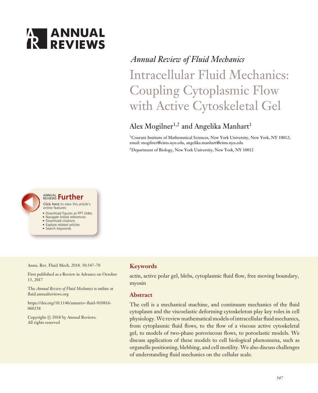 Intracellular Fluid Mechanics: Coupling Cytoplasmic Flow with Active Cytoskeletal Gel by Alex Mogilner and Angelika Manhart