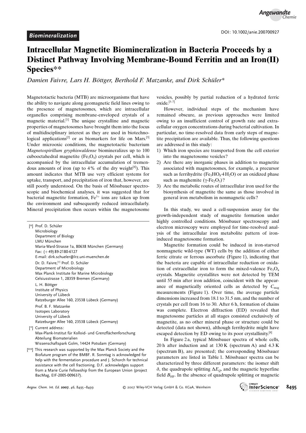 Intracellular Magnetite Biomineralization in Bacteria Proceeds by a Distinct Pathway Involving Membrane-Bound Ferritin and an Iron(II) Species by Unknown