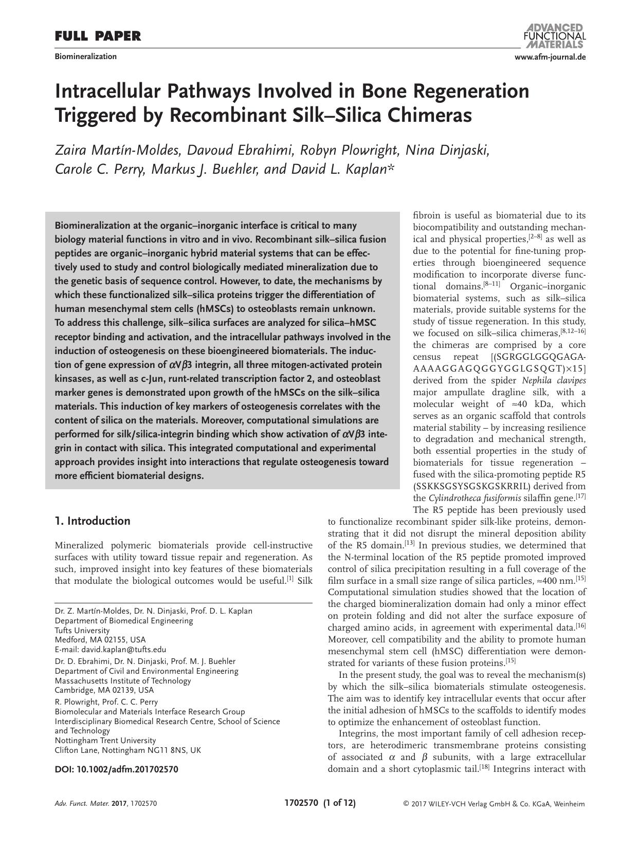 Intracellular Pathways Involved in Bone Regeneration Triggered by Recombinant Silk–Silica Chimeras by Unknown