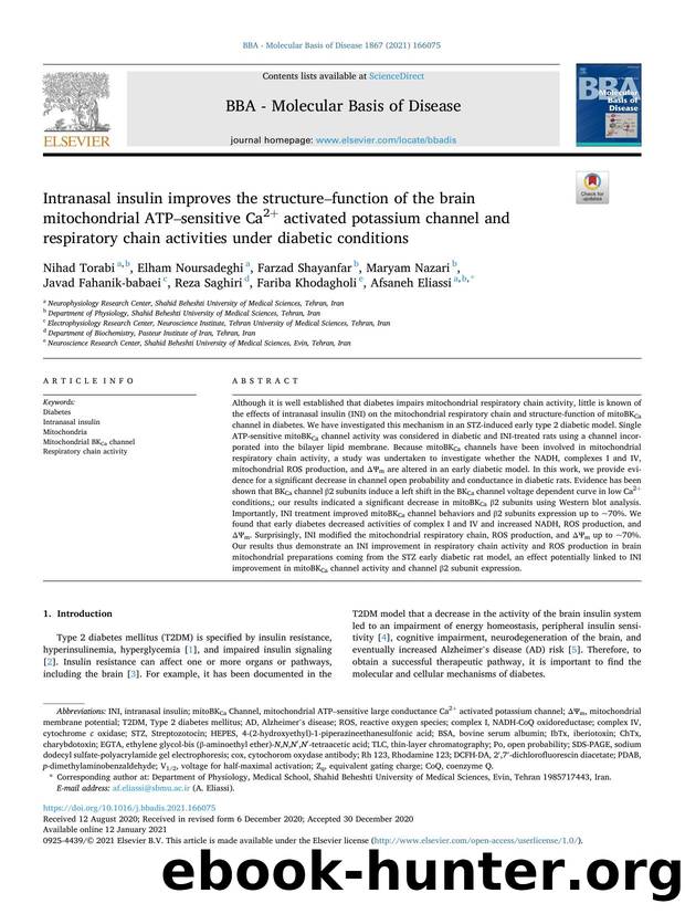 Intranasal insulin improves the structureâfunction of the brain mitochondrial ATPâsensitive Ca2+ activated potassium channel and respiratory chain activities under diabetic conditions by unknow