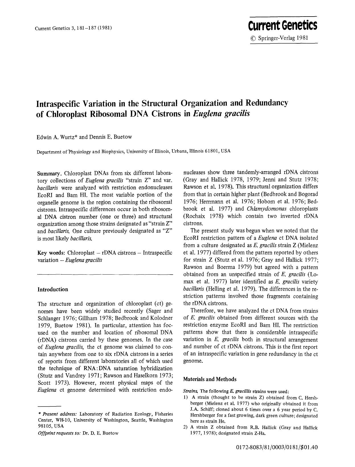 Intraspecific variation in the structural organization and redundancy of chloroplast ribosomal DNA cistrons in <Emphasis Type="Italic">Euglena gracilis<Emphasis> by Unknown