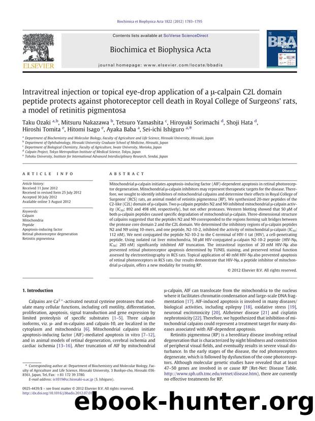 Intravitreal injection or topical eye-drop application of a Î¼-calpain C2L domain peptide protects against photoreceptor cell death in Royal College of Surgeons' rats, a model of retinitis pigmentosa by unknow