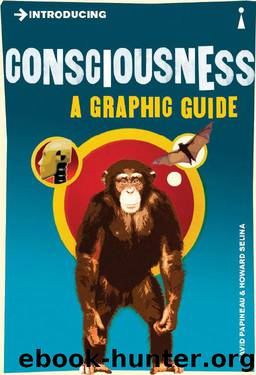 Introducing Consciousness: A Graphic Guide (Introducing...) by David Papineau