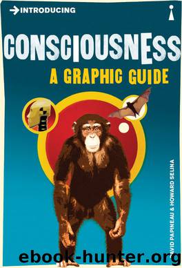 Introducing Consciousness: A Graphic Guide by David Papineau & Howard Selina