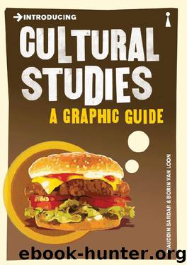 Introducing Cultural Studies: A Graphic Guide (Introducing...) by Ziauddin Sardar