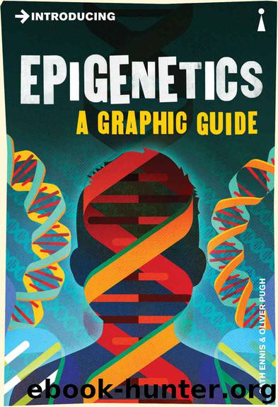 Introducing Epigenetics: A Graphic Guide by Cath Ennis