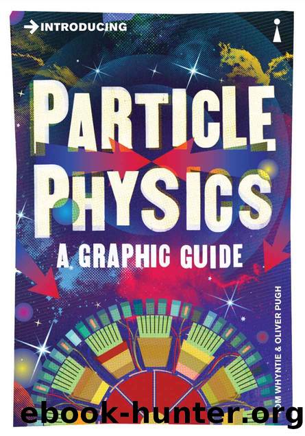 Introducing Particle Physics (Introducing...) by Tom Whyntie