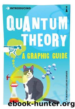 Introducing Quantum Theory (Introducing...) by J.P. McEvoy & Oscar Zarate