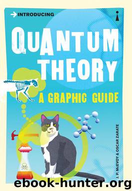 Introducing Quantum Theory: A Graphic Guide (Introducing...) by J.P. McEvoy & Oscar Zarate