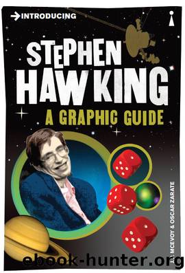 Introducing Stephen Hawking (Introducing...) by J.P. McEvoy