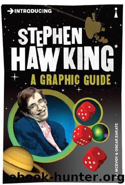 Introducing Stephen Hawking: A Graphic Guide (Introducing...) by J.P. McEvoy