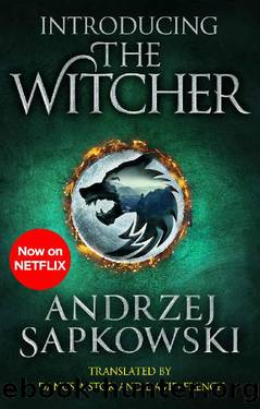 Introducing The Witcher by Andrzej Sapkowski