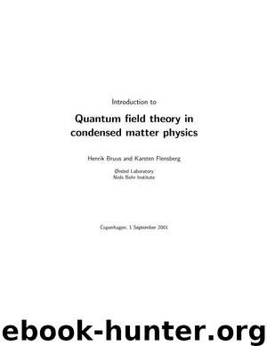 Introduction To Quantum Field Theory In Condensed Matter Physics by Henrik Bruus Karsten Flensberg