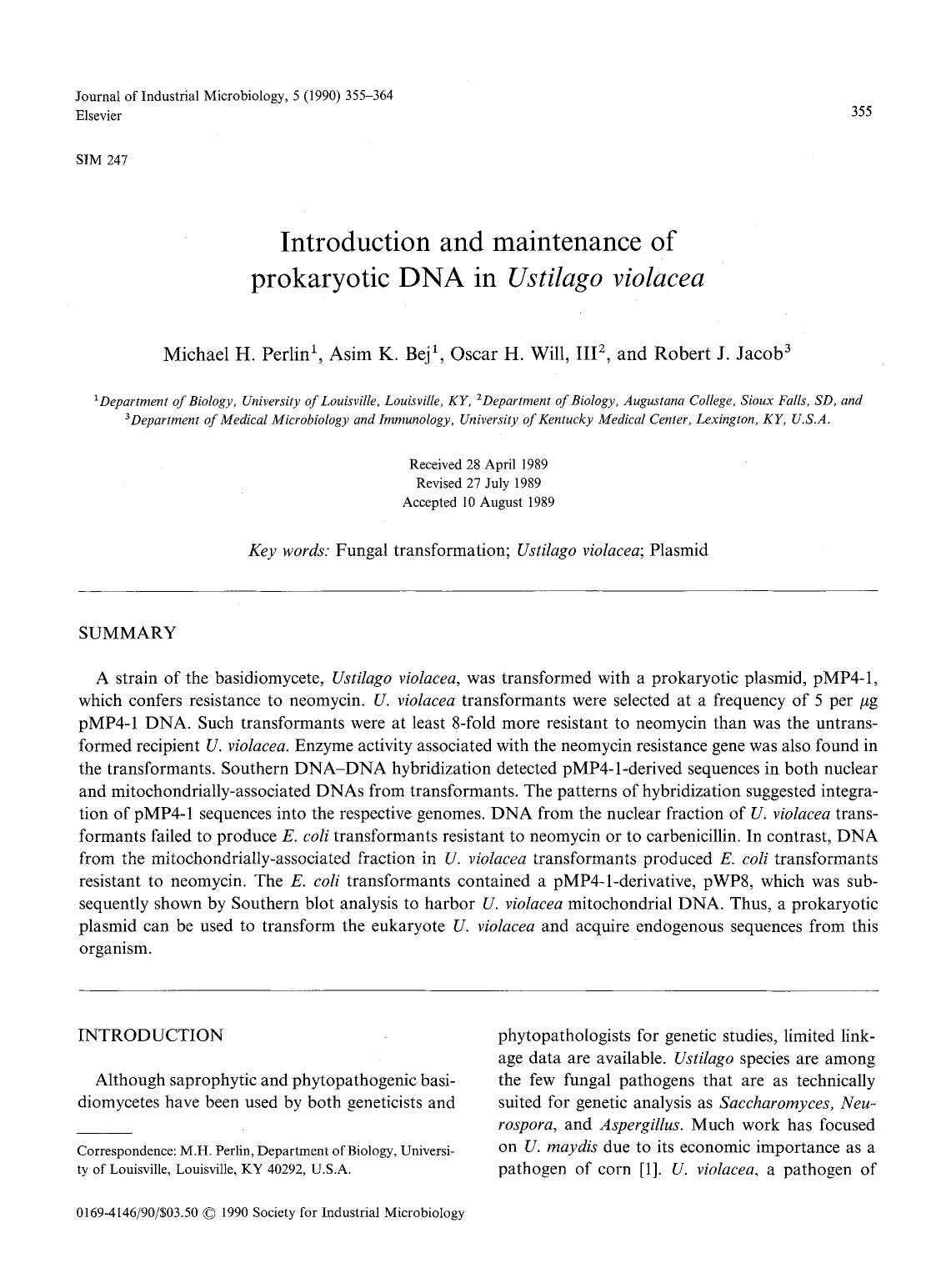 Introduction and maintenance of prokaryotic DNA in <Emphasis Type="Italic">Ustilago violacea <Emphasis> by Unknown