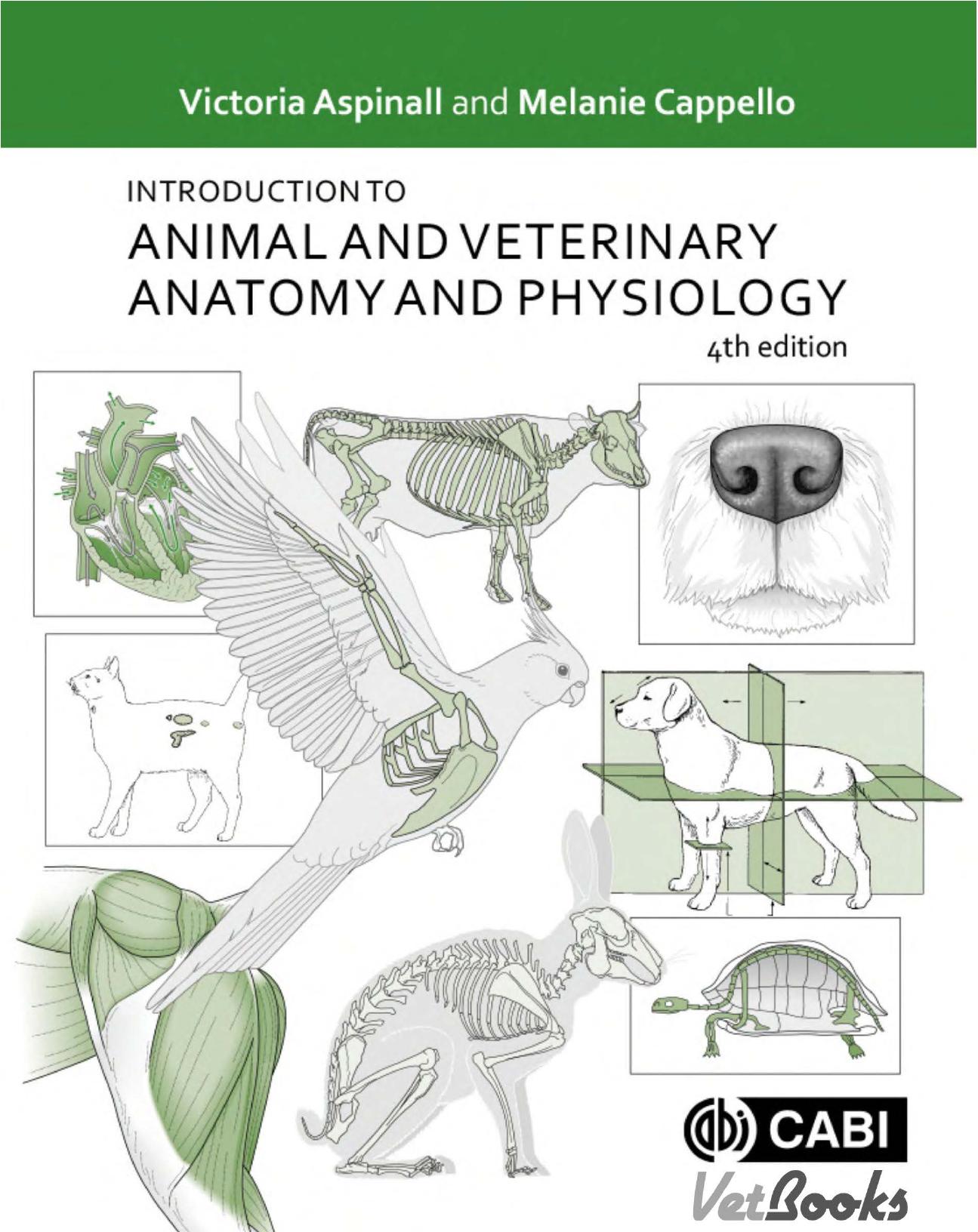 Introduction to Animal and Veterinary Anatomy and Physiology by Victoria Aspinall Melanie Cappello