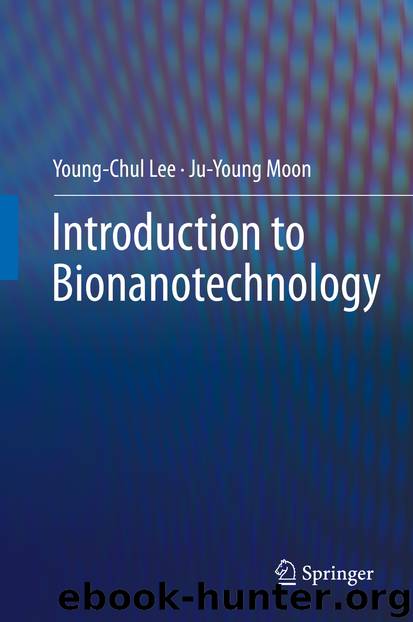 Introduction to Bionanotechnology by Young-Chul Lee & Ju-Young Moon