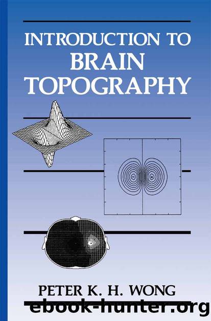 Introduction to Brain Topography by Peter K. H. Wong
