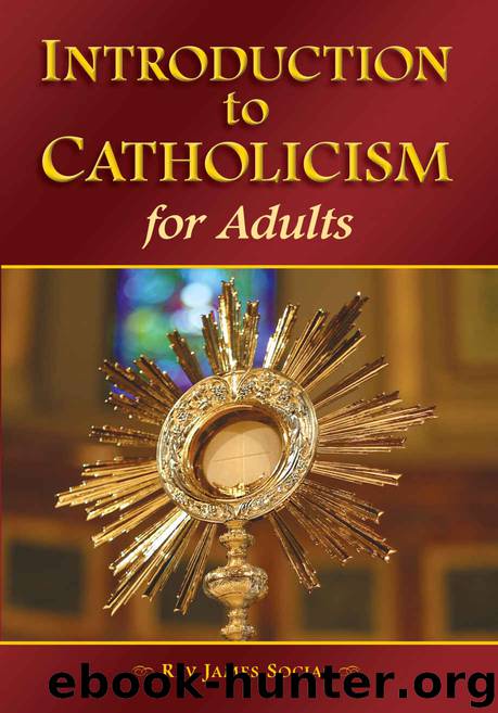Introduction to Catholicism for Adults by Socias James & Socias James