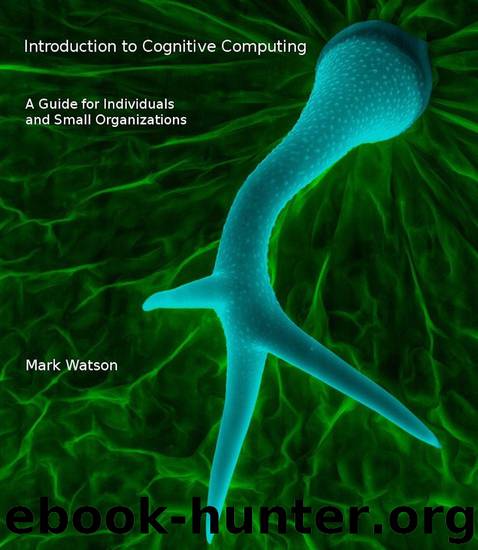 Introduction to Cognitive Computing: A Guide for Individuals and Small Organizations by Mark Watson