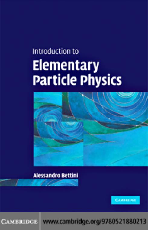 Introduction to Elementary Particle Physics by Alessandro Bettini