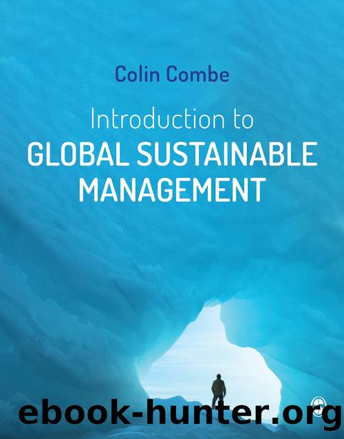 Introduction to Global Sustainable Management by Colin Combe
