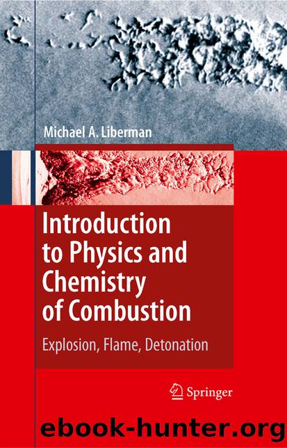 Introduction to Physics and Chemistry of Combustion by Michael A. Liberman