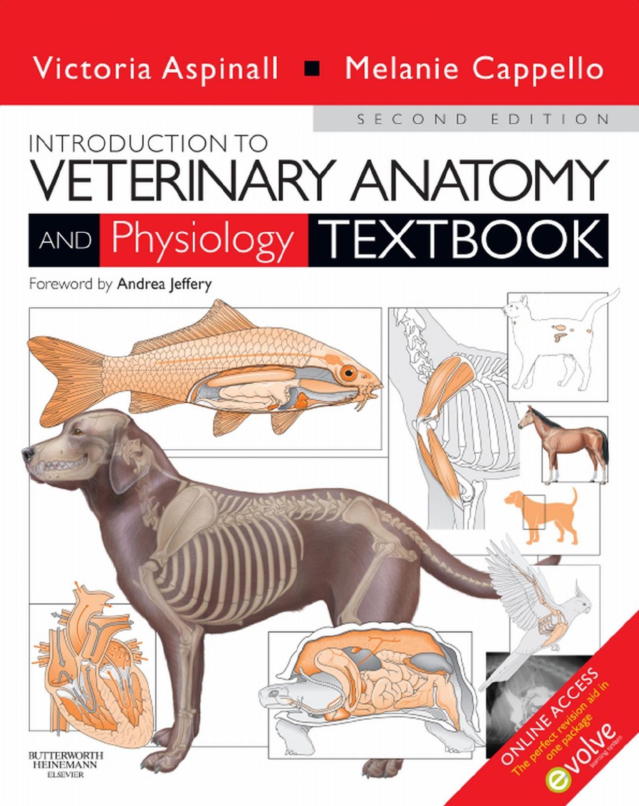 Introduction to Veterinary Anatomy and Physiology 2nd Ed [tahir99] VRG by Unknown