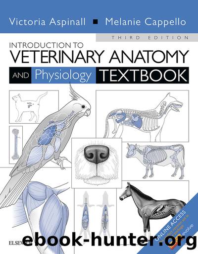 Introduction to Veterinary Anatomy and Physiology Textbook - E-Book by Aspinall Victoria; Cappello Melanie; & Melanie Cappello