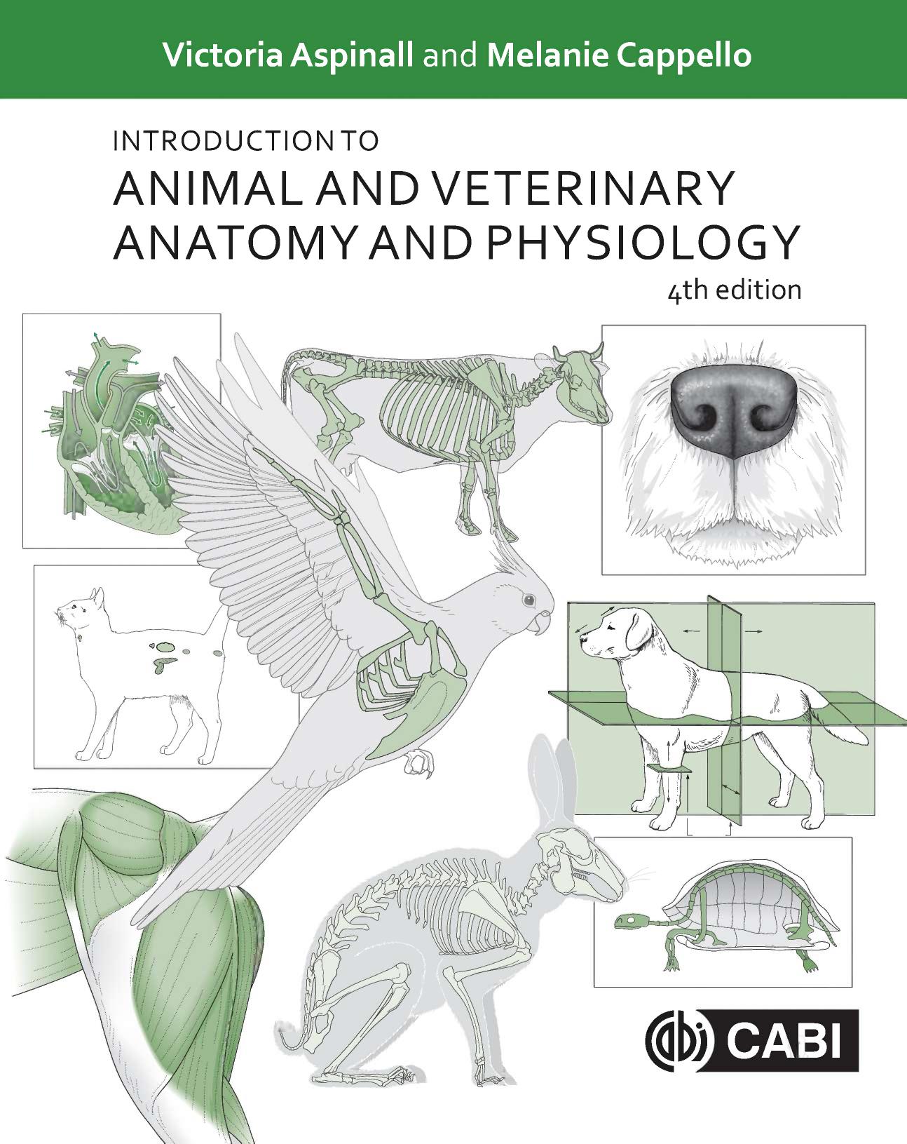 Introduction to animal and veterinary anatomy and physiology by Aspinall Victoria; Cappello Melanie; Phillips Catherine