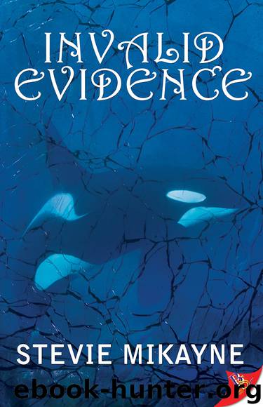 Invalid Evidence by Stevie Mikayne