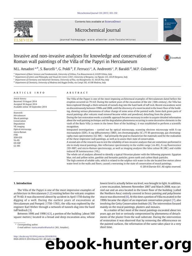 Invasive and non-invasive analyses for knowledge and conservation of Roman wall paintings of the Villa of the Papyri in Herculaneum by M.L. Amadori & S. Barcelli & G. Poldi & F. Ferrucci & A. Andreotti & P. Baraldi & M.P. Colombini